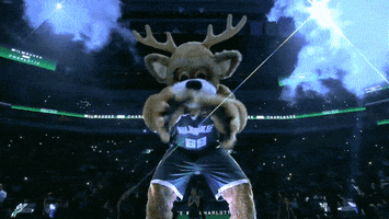 Lets Go Sport GIF by Milwaukee Bucks