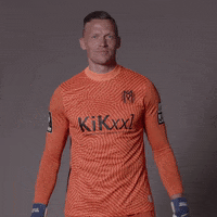Sv Meppen Pose GIF by DFB