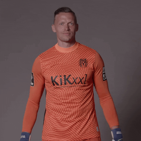 Sv Meppen Pose GIF by DFB