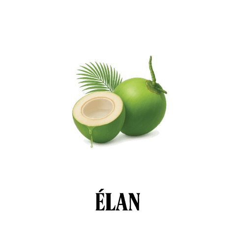 Drinkelan Sticker by ÉLAN