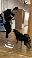 200.gif?cid=fc005b087ebb4828eb1a52de90393e3a327fa65a222db459&rid=200.gif&ct=g