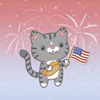 4Th Of July Cat GIF by beckadoodles