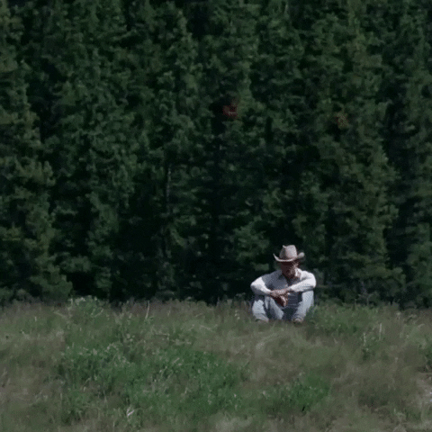 Camping Heath Ledger GIF by Focus Features