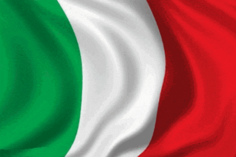 Italian Flag Italy GIF - Find & Share on GIPHY