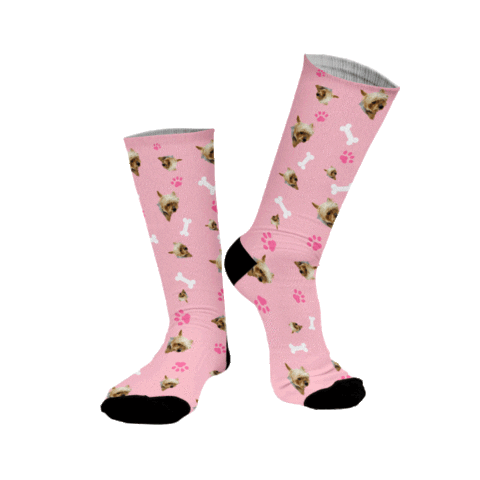 My Pet Selfies Sticker