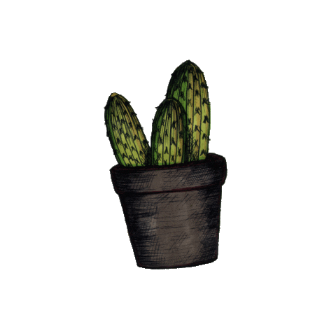 Flowers Universe Sticker