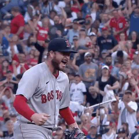 Happy Red Sox GIF by Jomboy Media