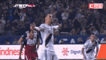 Zlatan GIFs - Find & Share on GIPHY