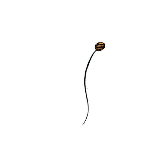 Freckle Face Jewellery Sticker