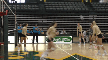 Tribevolleyball Wmvolleyball GIF by William & Mary Tribe Athletics