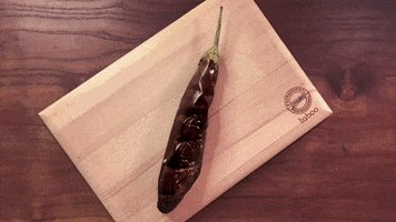 aylinohri cooking eggplant aubergine cuttingboard GIF