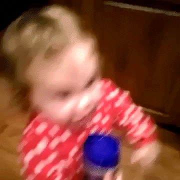 Food GIF