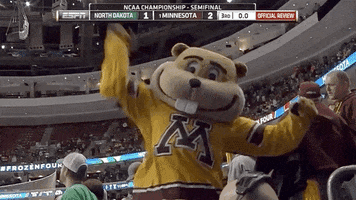 Ice Hockey Celebration GIF by NCAA Championships