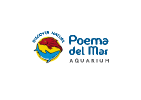 Gran Canaria Canarias Sticker by Loro Parque