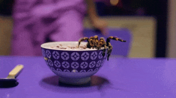200.gif?cid=fc005b086cb95b2ee38a1a4f54c6ec424a92ba234695b516&rid=200.gif&ct=g