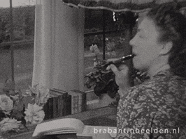 Thinking Diary GIF by BrabantinBeelden