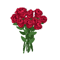 NicolRaidman rose valentines day romantic roses Sticker