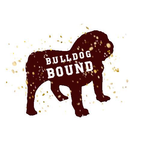 Sticker by MS State Admit