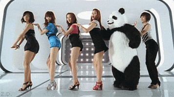 Girls Panda GIF