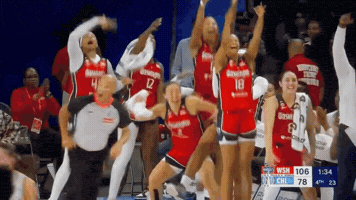 Washington Mystics Wnba GIF by Basketfem