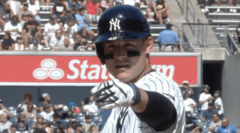 New York Yankees Sport GIF by MLB - Find & Share on GIPHY