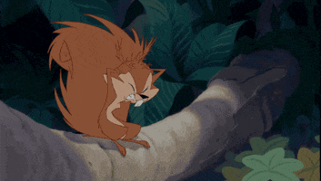 walt disney animation studios squirrel GIF by Disney