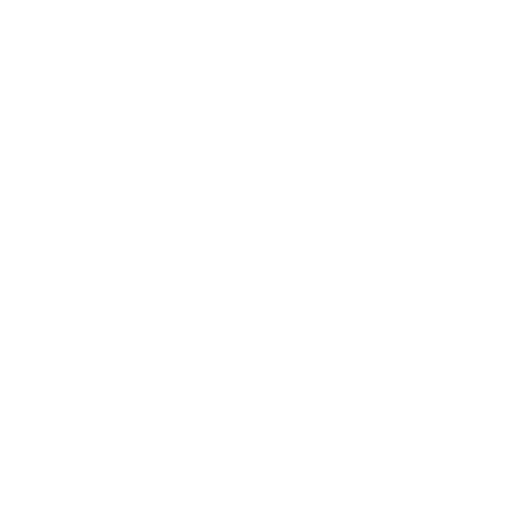 NXT Racing Sticker