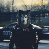 Formula 1 Reaction GIF by Toto