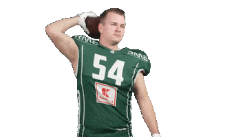 Unicornsfootball Sticker by Schwäbisch Hall Unicorns