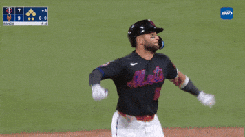 Excited Ny Mets GIF by New York Mets