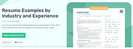 Resume Examples GIF by Enhancv