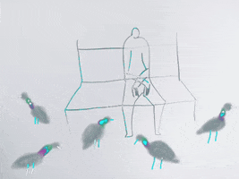 Pigeons Park Bench GIF by Barbara Pozzi