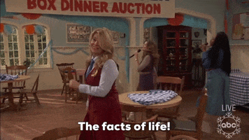 The Facts Of Life Diffrent Strokes GIF by ABC Network