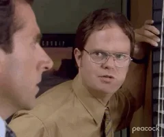 Dwight says Jim told him he could buy a gaydar online