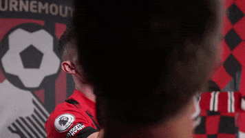 Premier League Football GIF by AFC Bournemouth