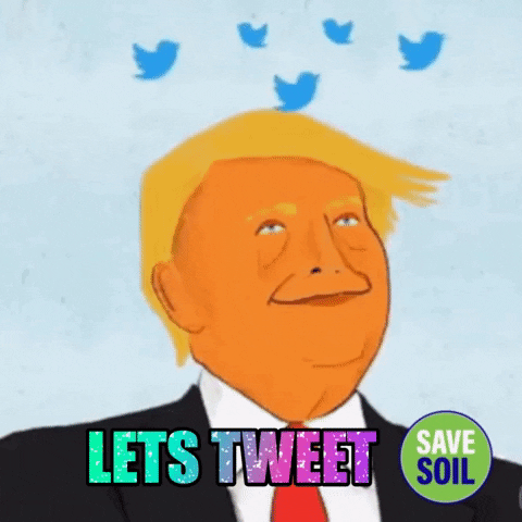 Happy Donald Trump GIF by Save Soil