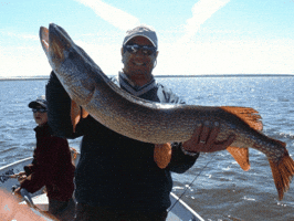 Charles Reed Cagle GIF