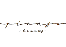 Makeup Lipgloss Sticker by picasobeauty