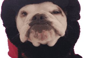 GIF by Miazita