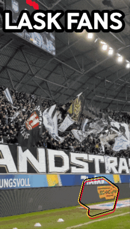 Bundesliga Fans GIF by Linz News