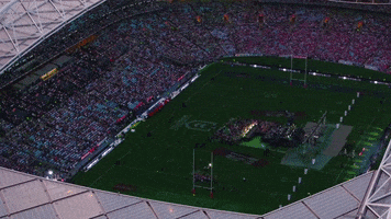 Stadium Australia GIF
