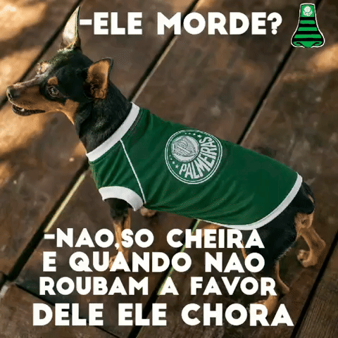 Pedrinfla777 GIF