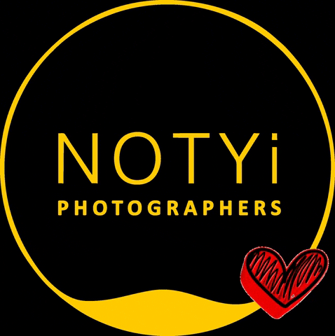 notyiphotographers notyi notyiphotographers notyi logo love for brand GIF
