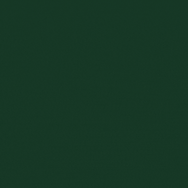 Happy St Paddy GIF by iTalents