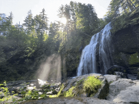 giphy.gif?cid=9b38fe91kzywgxs6p96qzh8hkd