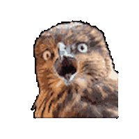 Sticker by The Beatcast