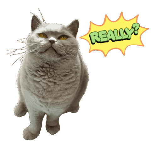 The Look What Sticker