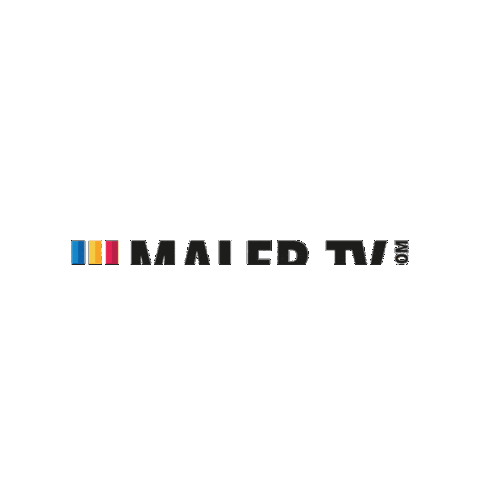 MALER-TV.com Sticker