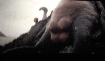 https://media0.giphy.com/media/Ug0H4neD5fCec/giphy.gif