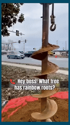 Fail GIF